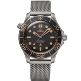 Seamaster Diver 300M 42 mm, titanium on titanium
