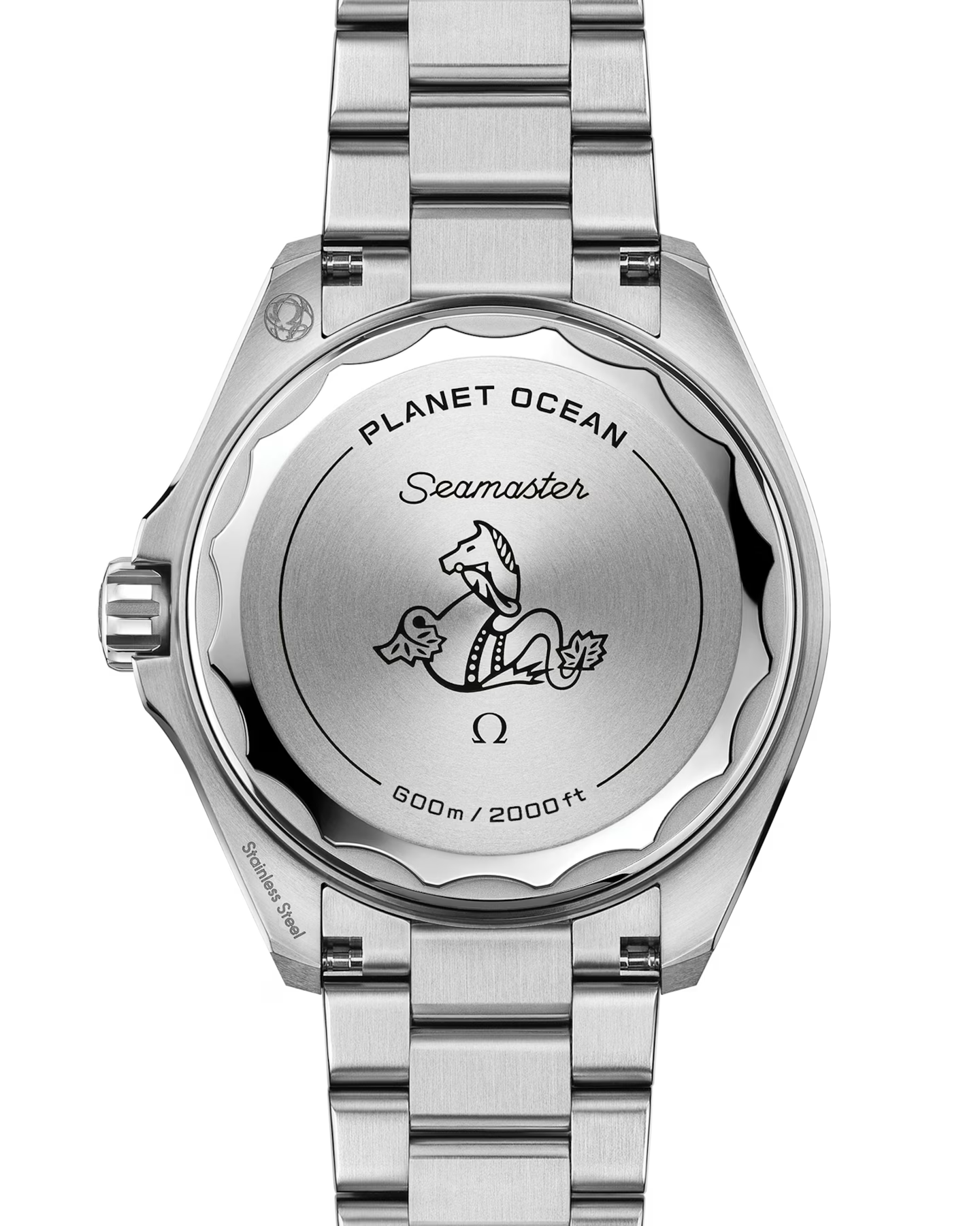 Seamaster Planet Ocean 600M 42 mm, steel on steel