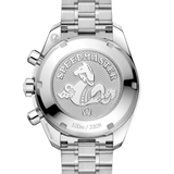 Speedmaster 38 mm, steel on steel