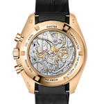 Speedmaster Moonwatch Professional 42 mm, Moonshine™ gold on rubber strap
