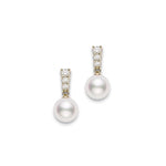 Morning Dew Akoya Cultured Pearl Earrings in 18K Yellow Gold