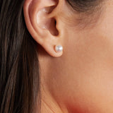 Akoya Pearl Ear Stud Earrings 6-6.5MM A+