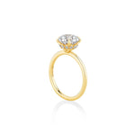 Solitaire Engagement Ring with Under Halo Semi Mount