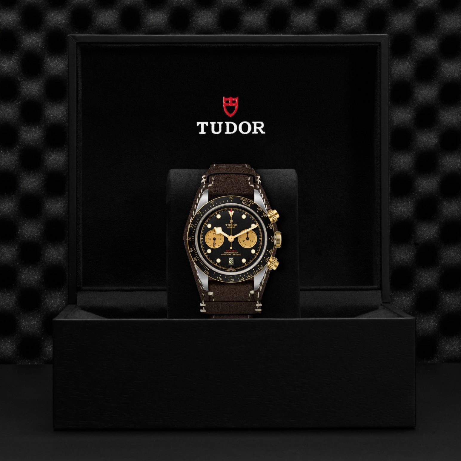 TUDOR Black Bay Chrono SandG