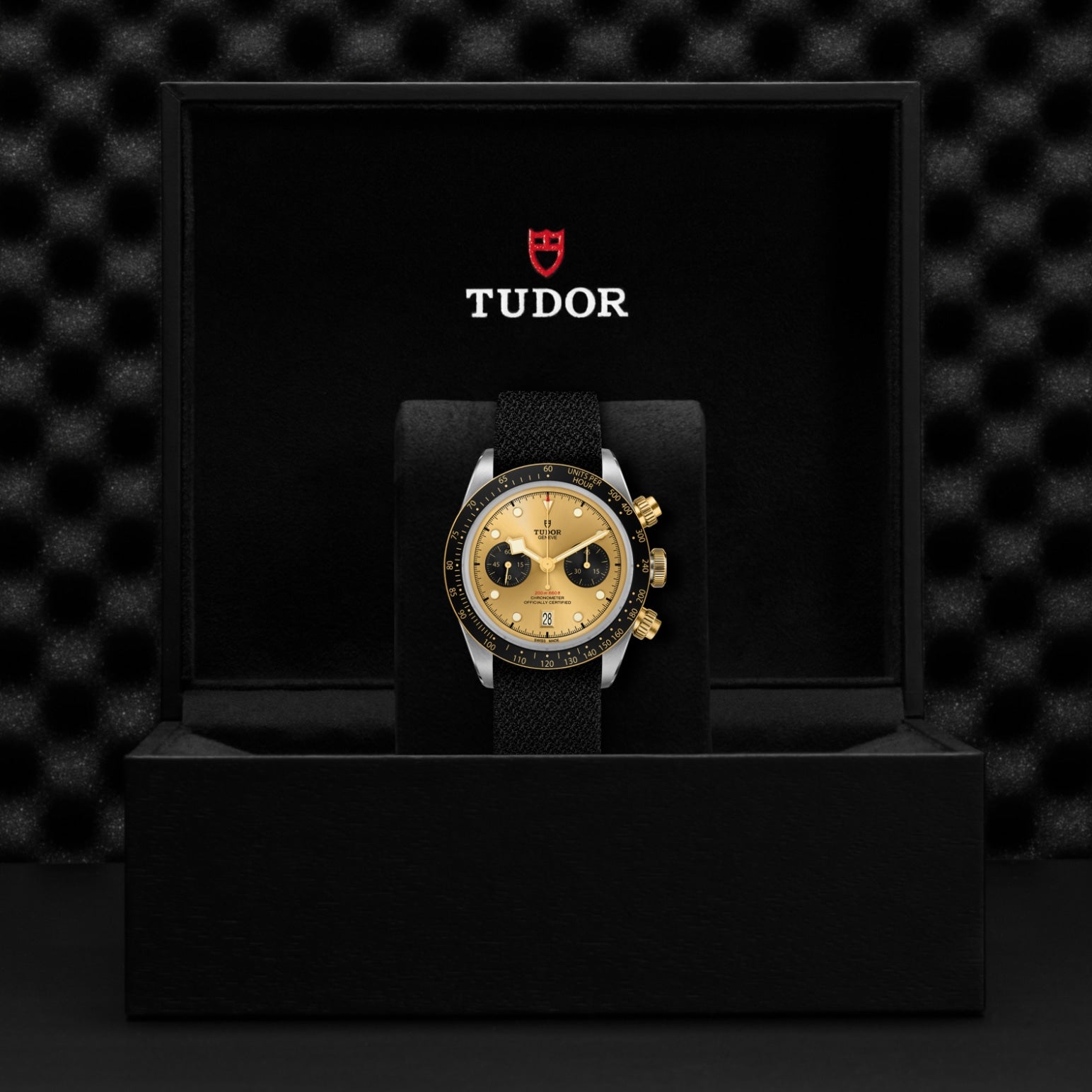 TUDOR Black Bay Chrono SandG